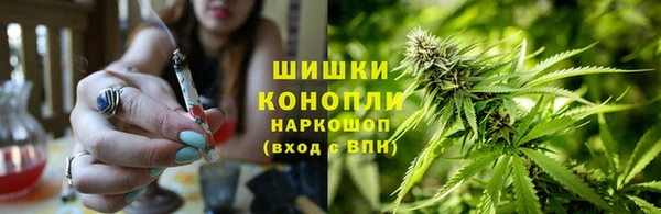 ГАЛЛЮЦИНОГЕННЫЕ ГРИБЫ Елизово