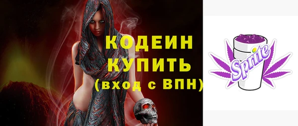 ГАЛЛЮЦИНОГЕННЫЕ ГРИБЫ Ельня