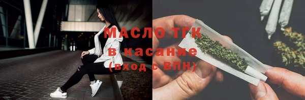 ГАЛЛЮЦИНОГЕННЫЕ ГРИБЫ Ельня