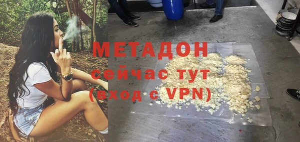 ГАЛЛЮЦИНОГЕННЫЕ ГРИБЫ Ельня