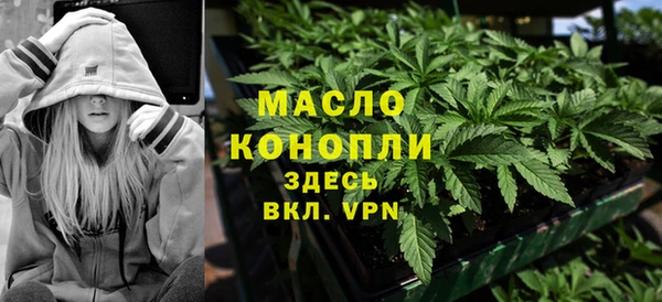ГАЛЛЮЦИНОГЕННЫЕ ГРИБЫ Ельня