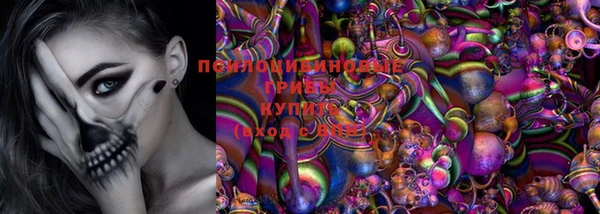 ГАЛЛЮЦИНОГЕННЫЕ ГРИБЫ Елизово