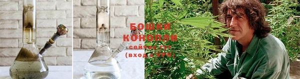 ГАЛЛЮЦИНОГЕННЫЕ ГРИБЫ Ельня