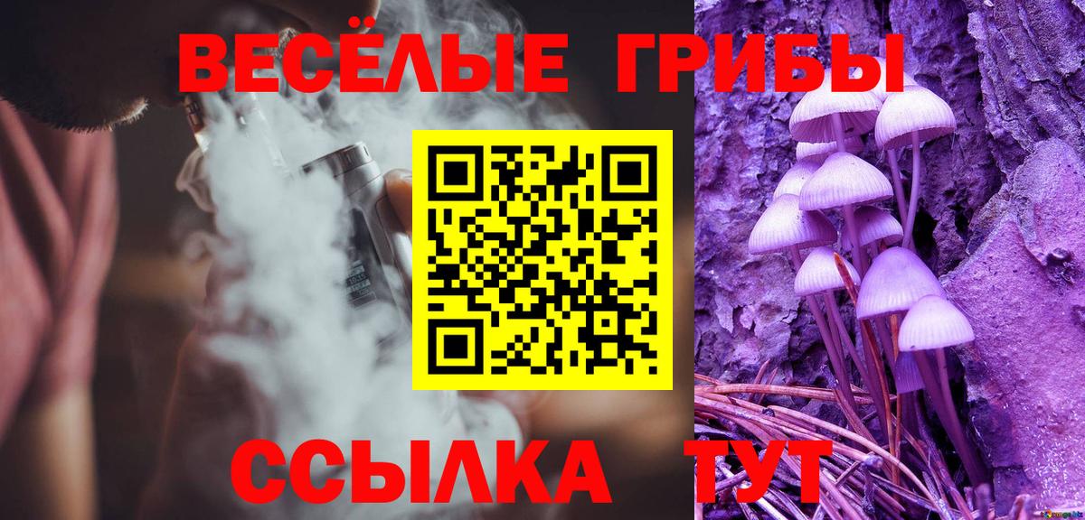 Сухой Лог  Псилоцибиновые грибы Psilocybine cubensis  Вход с VPN 