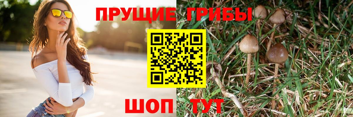 Галлюциногенные грибы ЛСД Сухой Лог